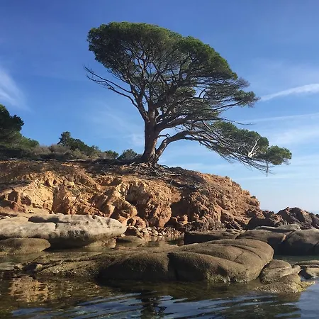 Prázdninový dům Holiday Route De Palombaggia Porto-Vecchio (Corsica)